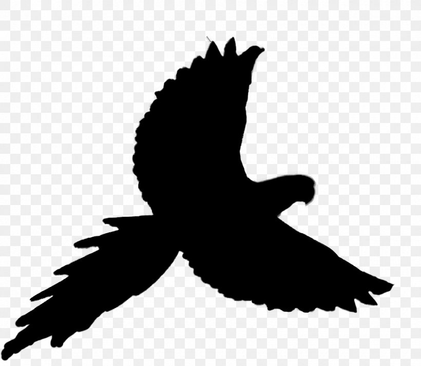 Parrot Bird Macaw Clip Art, PNG, 920x802px, Parrot, Beak, Bird, Bird Of Prey, Black Download Free