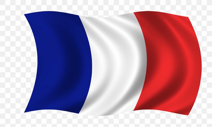 Speech And Language Laboratory Flag Voice-over, PNG, 960x576px, Language, Electric Blue, Flag, France, Learning Download Free