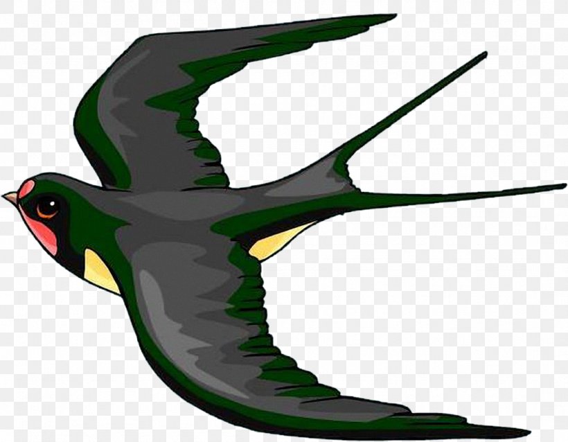 Barn Swallow Drawing Clip Art, PNG, 1077x838px, Barn Swallow, Animation, Beak, Bird, Drawing Download Free