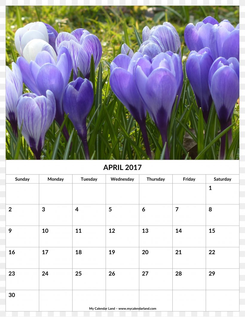 Calendar Mindsoother Therapy Center 0 April March, PNG, 2550x3300px, 2016, 2018, Calendar, April, Crocus Download Free