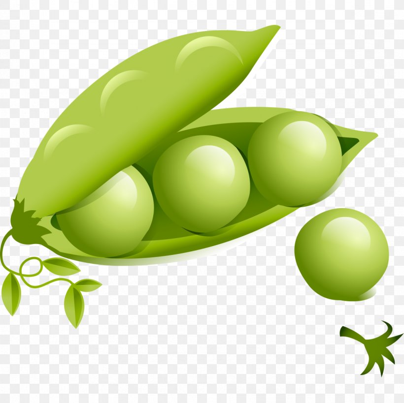 Common Bean Vegetable Lablab Food, PNG, 1181x1181px, Common Bean, Bean, Cartoon, Cooking, Food Download Free