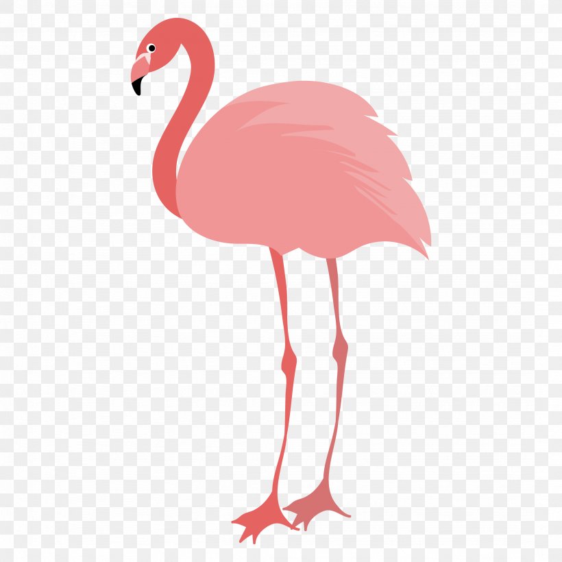 Flamingos Water Bird Animal, PNG, 2154x2154px, Flamingos, Animal, Beak, Bird, Domestic Pig Download Free