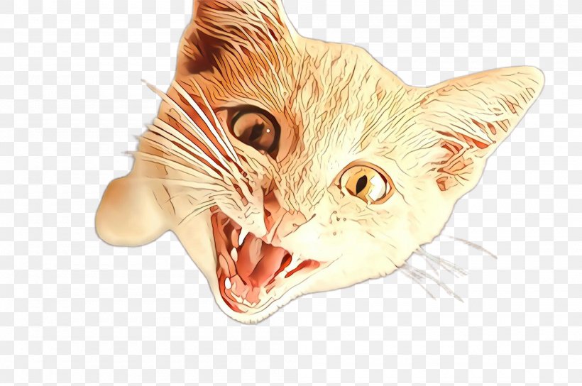 Cat Facial Expression Whiskers Head Small To Medium-sized Cats, PNG, 2000x1328px, Cartoon, Cat, Facial Expression, Head, Nose Download Free