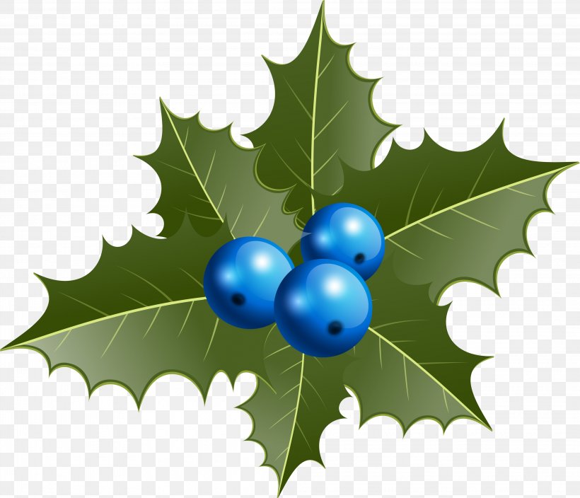 Chinese New Year Christmas New Year's Day, PNG, 4235x3636px, New Year, Aquifoliaceae, Aquifoliales, Berry, Bilberry Download Free