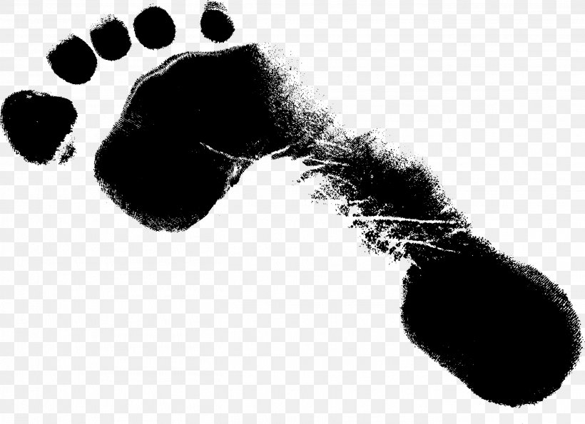 Footprint Clip Art, PNG, 2711x1970px, Footprint, Black And White, Image Resolution, Information, Monochrome Photography Download Free