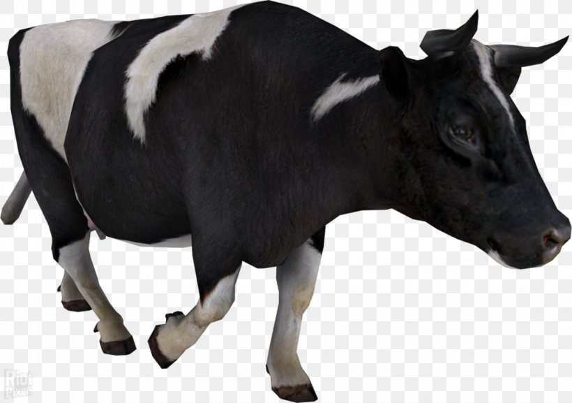 Dairy Cattle Sticker, PNG, 1023x720px, Cattle, Bull, Cattle Like Mammal, Clarabelle Cow, Cow Goat Family Download Free