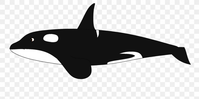 Dolphin Killer Whale Cetacea Baleen Whale Clip Art, PNG, 1264x632px, Dolphin, Animal, Baleen Whale, Black And White, Blue Whale Download Free