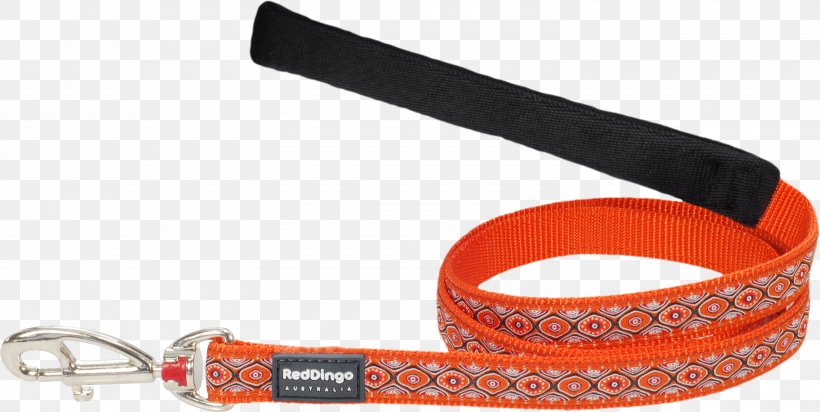 Leash Strap Clothing Accessories Fashion, PNG, 3000x1508px, Leash, Clothing Accessories, Fashion, Fashion Accessory, Orange Download Free