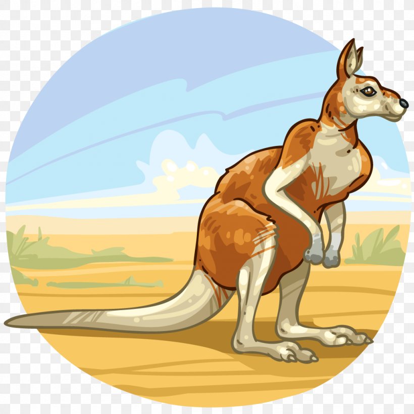 Macropodidae Mammal Animal Kangaroo Marsupial, PNG, 1024x1024px, Macropodidae, Animal, Canidae, Carnivora, Carnivoran Download Free