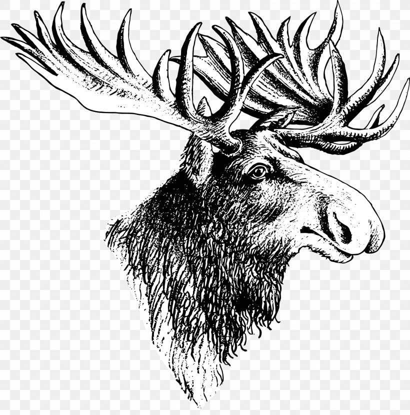 Moose Deer Elk Drawing, PNG, 1765x1787px, Moose, Antler, Art, Black And White, Cattle Like Mammal Download Free