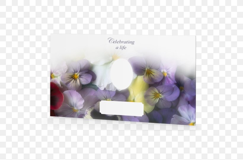 Pansy Flower Garden Flower Garden Common Daisy, PNG, 542x542px, Pansy, Birthday, Candle, Color, Common Daisy Download Free