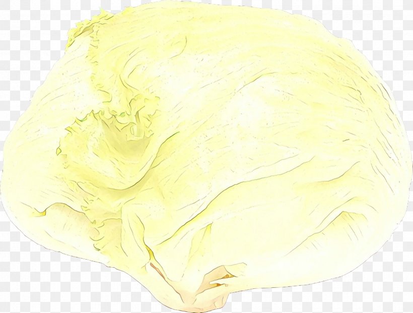 Yellow Background, PNG, 2349x1784px, Yellow, Cabbage, Dairy, Food Download Free