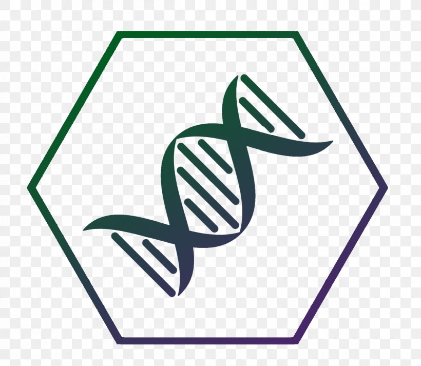 DNA Nucleic Acid Double Helix Gene Molecule Clip Art, PNG, 1197x1041px, Dna, Area, Biology, Brand, Carolina Testing Drugsalcoholdna Download Free