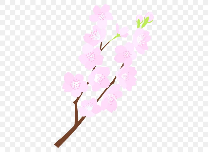 Floral Design Cherry Blossom Cut Flowers Plant Stem, PNG, 600x600px, Floral Design, Blossom, Branch, Cherries, Cherry Blossom Download Free