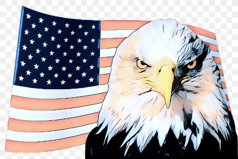 Independence Day Background, PNG, 1560x1050px, Pop Art, Accipitridae, Bald Eagle, Beak, Bird Download Free