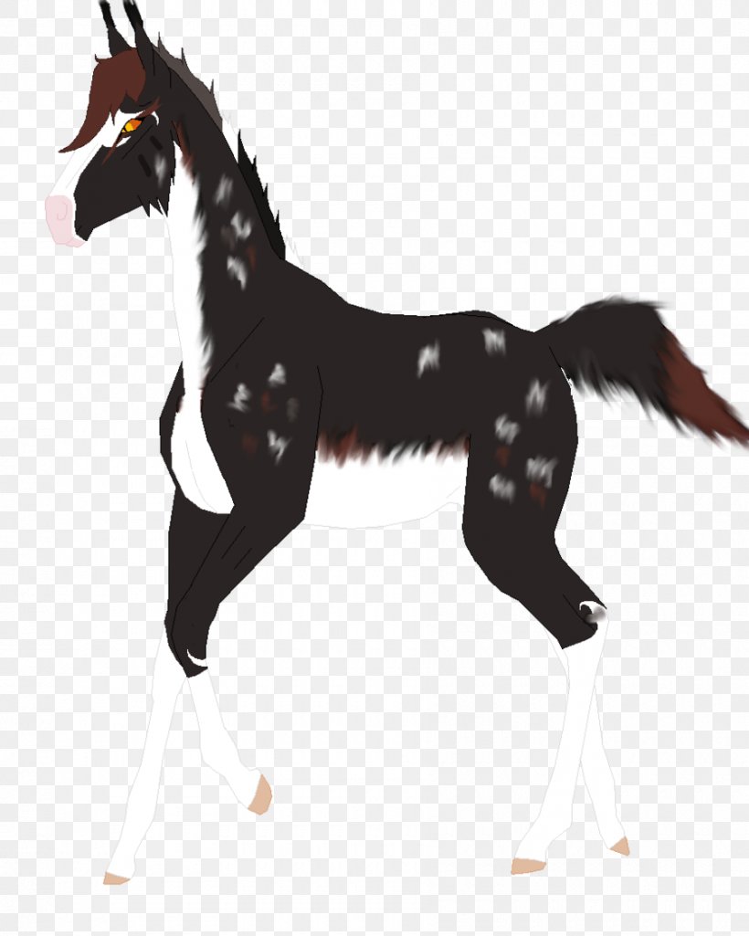 Mustang Foal Stallion Colt Mare, PNG, 900x1126px, Mustang, Animal Figure, Bridle, Character, Colt Download Free