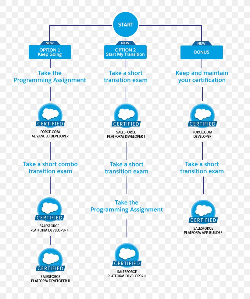 Salesforce.com Certification Software Developer Organization Microsoft Certified Professional, PNG, 800x979px, Salesforcecom, Area, Brand, Certification, Diagram Download Free