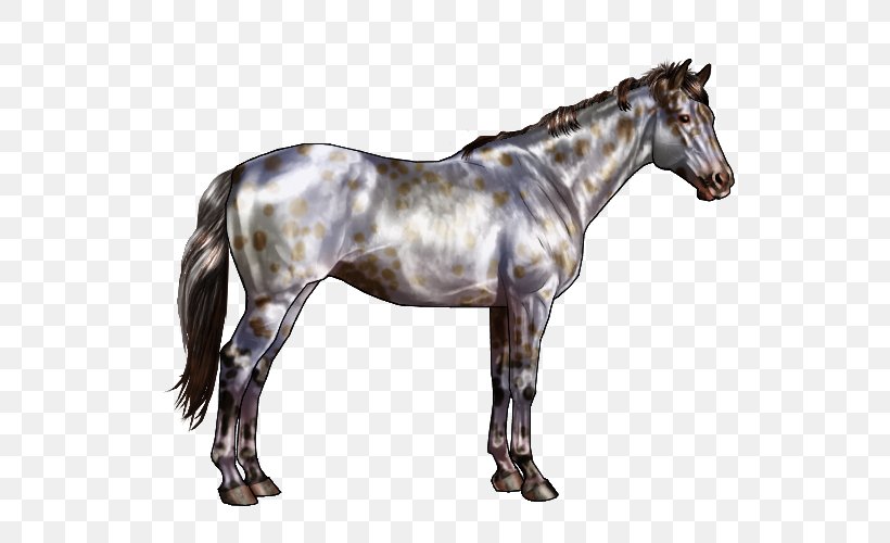 American Quarter Horse Roan Gray Black White, PNG, 600x500px, American Quarter Horse, Bay, Black, Bridle, Brindle Download Free