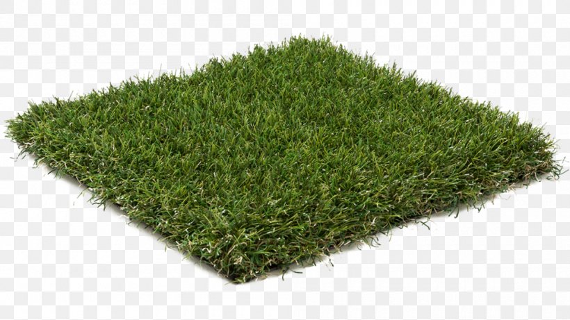 Artificial Turf Lawn Gardening Landscaping, PNG, 1000x563px, Artificial Turf, Building, Fitness Centre, Garden, Gardening Download Free