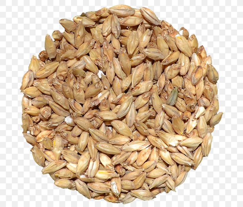 Beer Cereal Malt Oat Food, PNG, 700x700px, Beer, Avena, Beer Brewing