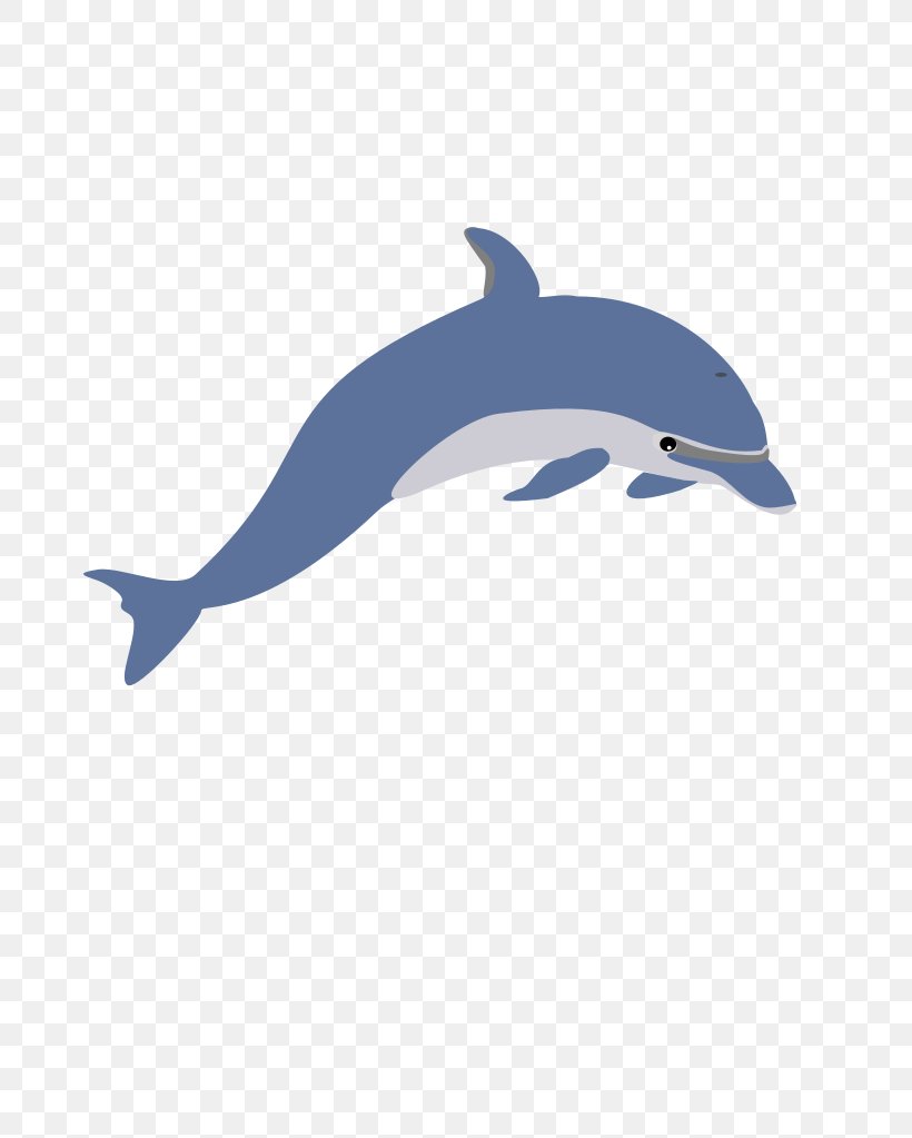 Dolphin Clip Art, PNG, 723x1023px, Dolphin, Art, Beak, Bottlenose Dolphin, Common Bottlenose Dolphin Download Free