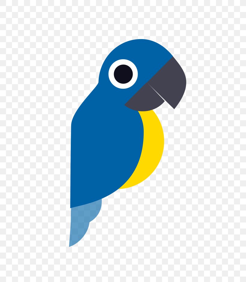 Foreign Language Learning Lesson Language Education, PNG, 660x938px, Foreign Language, Beak, Bird, Cobalt Blue, Electric Blue Download Free