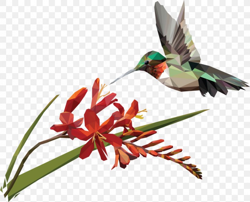 Hummingbird Coppertips Artist Beak, PNG, 1024x829px, Hummingbird, Art, Artist, Beak, Bird Download Free