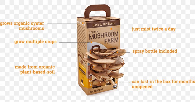 Oyster Mushroom Back To The Roots Edible Mushroom Morchella, PNG, 960x500px, Oyster Mushroom, Back To The Roots, Edible Mushroom, Flavor, Food Download Free