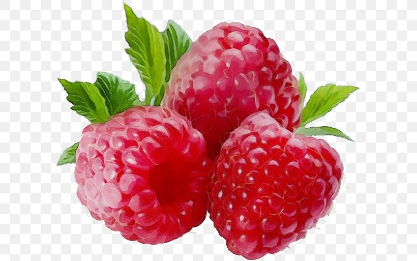 Strawberry, PNG, 600x513px, Watercolor, Berry, Food, Fruit, Frutti Di Bosco Download Free
