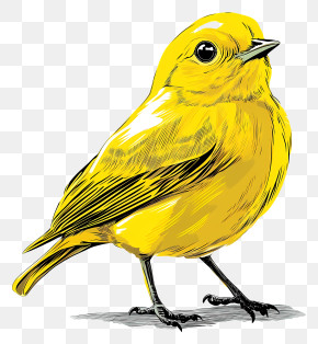 Yellow Bird - Yellow Bird PNG
