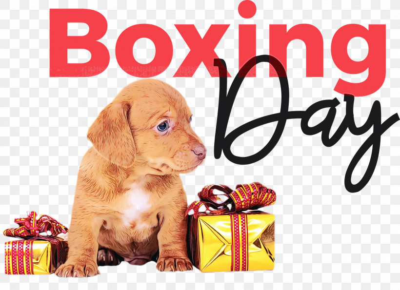 Boxing Day, PNG, 3000x2178px, Boxing Day, Airpods, Apple, Boxing, Clothing Download Free