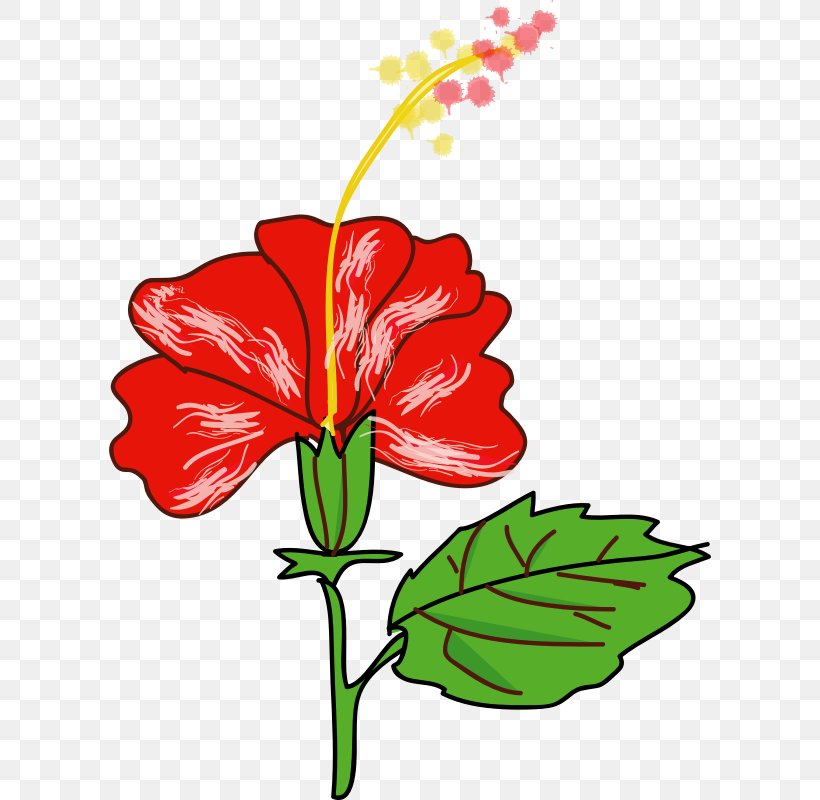 Shoeblackplant Flower Hawaiian Hibiscus Drawing Clip Art, PNG, 602x800px, Shoeblackplant, Art, Cartoon, Cut Flowers, Drawing Download Free