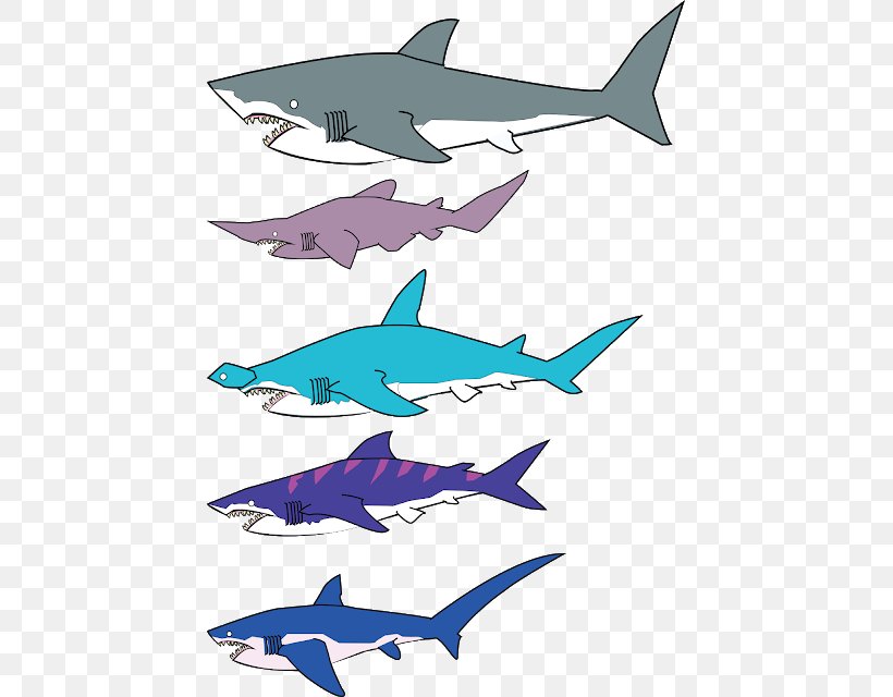 Squaliformes All About Sharks Shark Fin Soup Great White Shark Clip Art, PNG, 439x640px, Squaliformes, Cartilaginous Fish, Chondrichthyes, Dolphin, Drawing Download Free