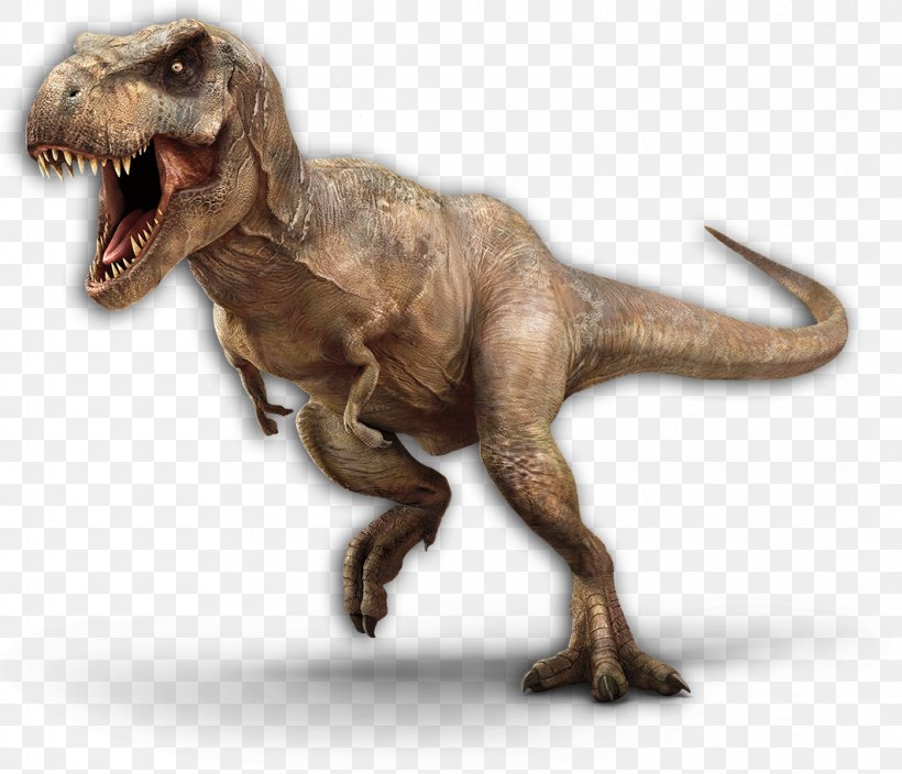 Tyrannosaurus Velociraptor Spinosaurus Therizinosaurus Jurassic Park, PNG, 1063x913px, Tyrannosaurus, Animatronics, Dinosaur, Extinction, Giganotosaurus Download Free