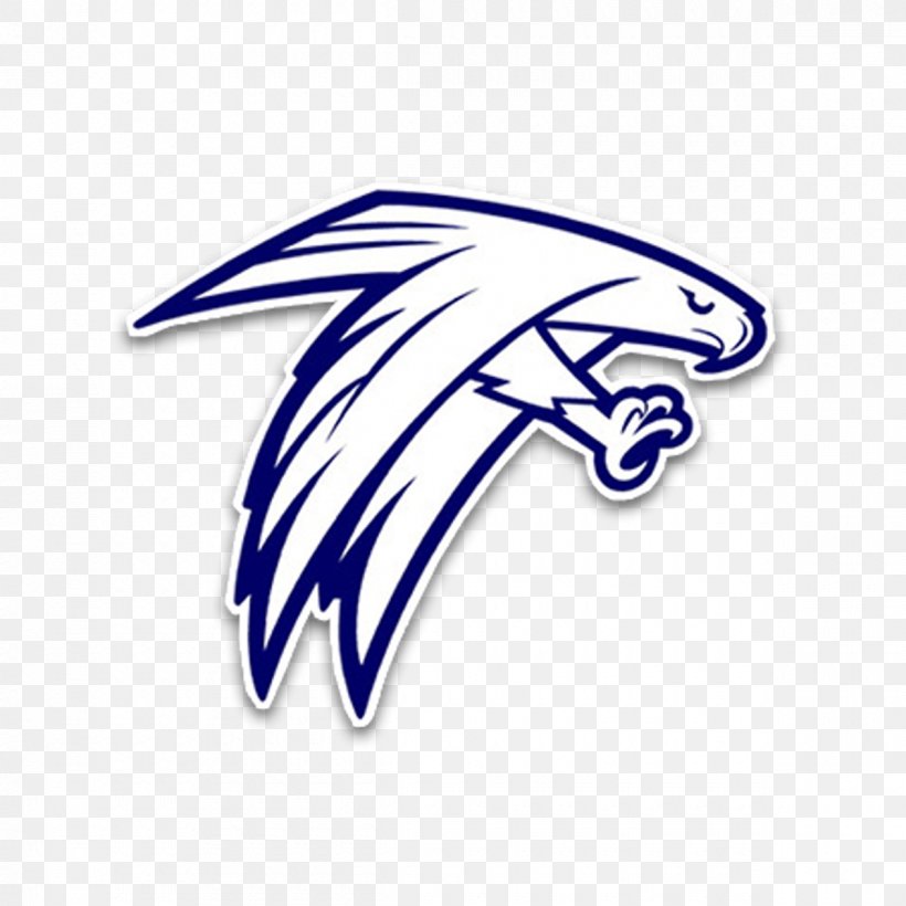 Bishop Dunne Catholic School Logo Blue Atlanta Falcons, PNG, 1200x1200px, School, Area, Atlanta Falcons, Automotive Design, Basketball Download Free