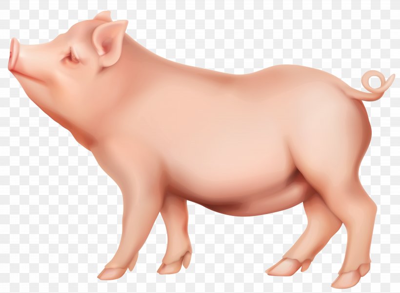 Domestic Pig Clip Art, PNG, 8000x5873px, Pig, Domestic Pig, Ear, Image File Formats, Iphone Download Free