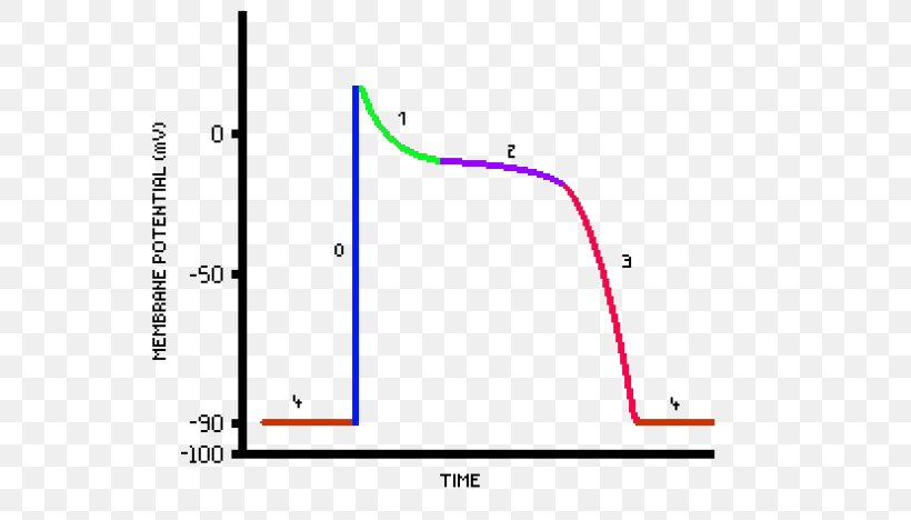 Line Point Angle Diagram, PNG, 660x468px, Point, Area, Diagram, Plot, Text Download Free