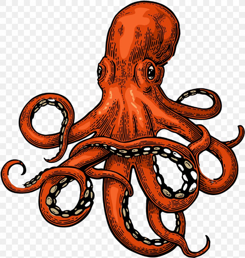 Octopus Cartoon, PNG, 863x911px, Octopus, Drawing, Giant Pacific Octopus, Gigantic Octopus, Kraken Download Free