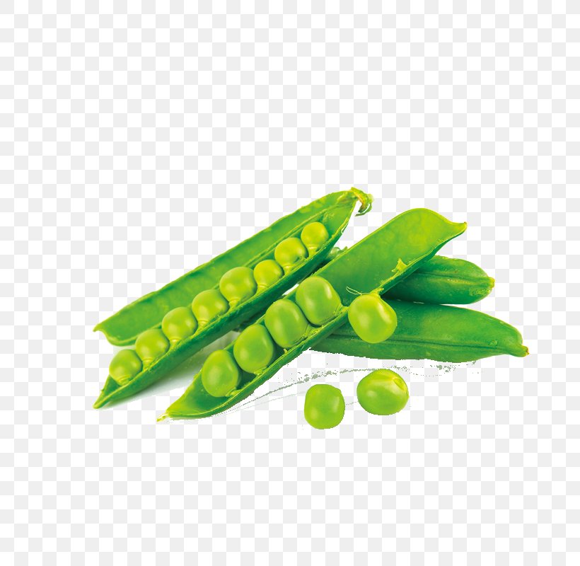 Snap Pea Protein Bean, PNG, 800x800px, Snap Pea, Bean, Cartoon, Corn On The Cob, Dietary Supplement Download Free