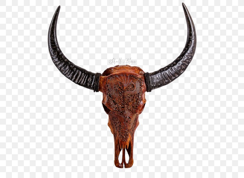 Texas Longhorn English Longhorn Skull Antique, PNG, 600x600px, Texas Longhorn, Antique, Buffalo, Carving, Cattle Download Free