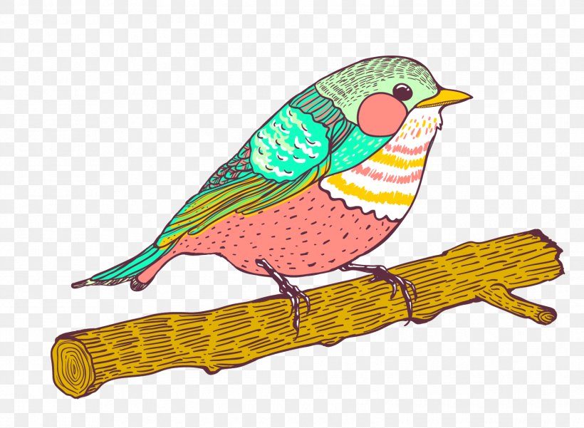 Bird Parrot Euclidean Vector Illustration, PNG, 1525x1118px, Bird, Adobe Flash, Art, Artworks, Beak Download Free