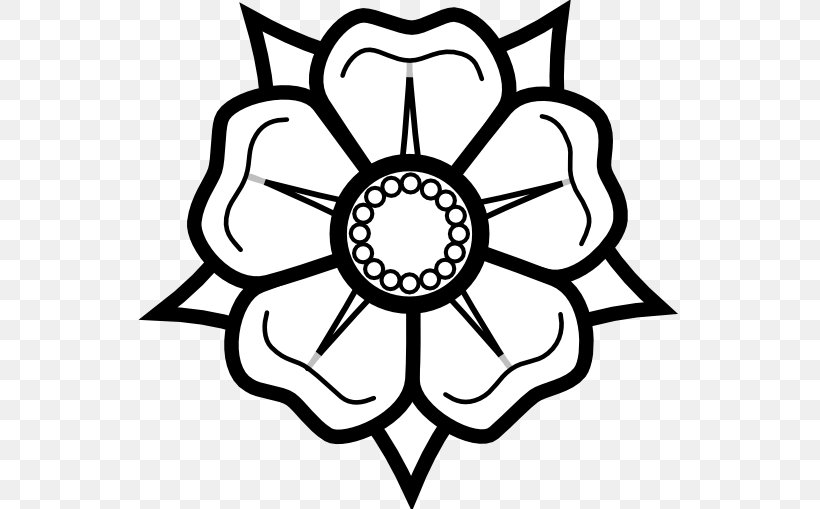 Drawing Flower Black And White Clip Art, PNG, 555x509px, Drawing, Area, Art, Artwork, Black Download Free