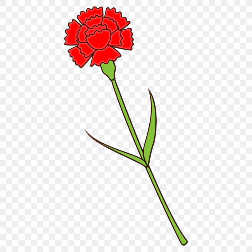 Flower Plant Pedicel Plant Stem Cut Flowers, PNG, 1200x1200px, Carnation, Cut Flowers, Flower, Paint, Pedicel Download Free