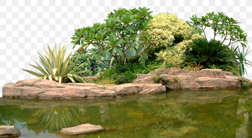 Landscape Rock Garden Computer File, PNG, 1000x548px, Landscape, Bonsai, Garden, Garden Design, Grass Download Free