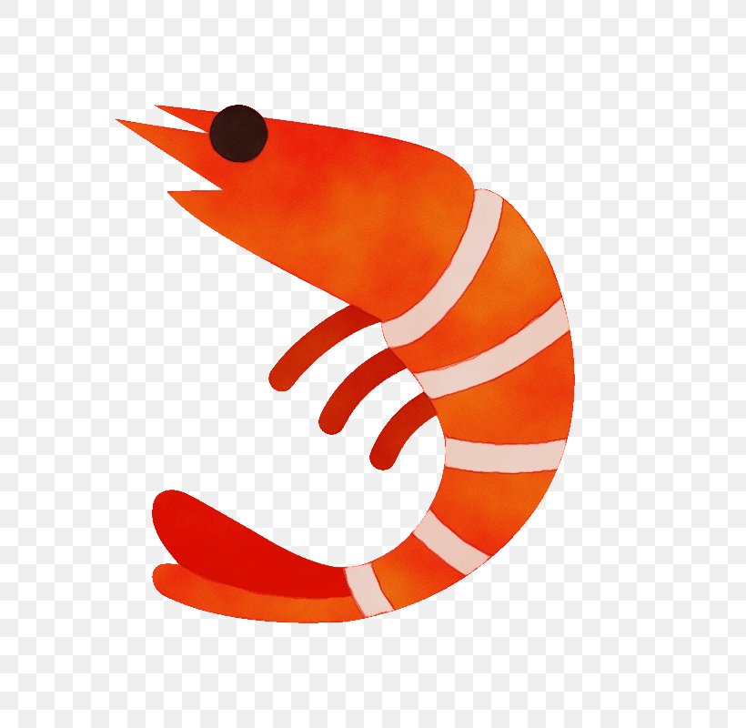 Orange, PNG, 800x800px, Watercolor, Logo, Orange, Paint, Seahorse Download Free