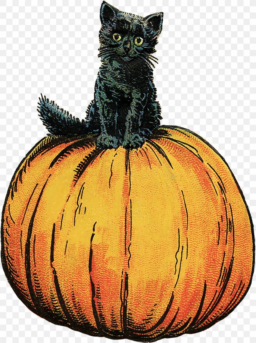 Thackery Binx Whiskers Cat Winifred Sanderson Mary Sanderson, PNG, 895x1200px, Whiskers, Art, Black Cat, Calabaza, Carnivore Download Free