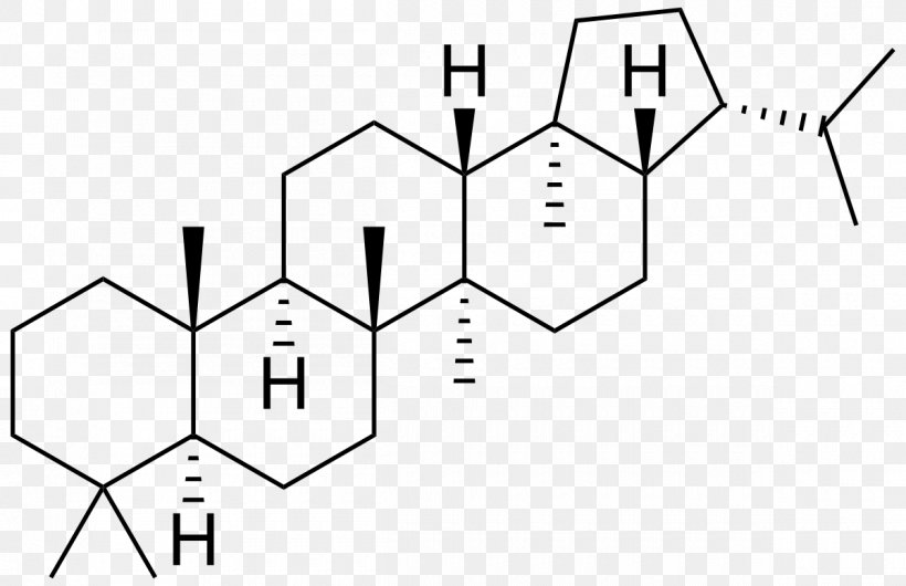 Triterpene Science Dehydroepiandrosterone Chemical Compound, PNG, 1200x777px, Terpene, Area, Black And White, Cell, Chemical Compound Download Free