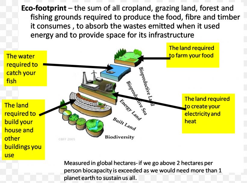 Ecological Footprint Biocapacity Ecology Ecological Economics Carrying Capacity, PNG, 1490x1104px, Ecological Footprint, Area, Biocapacity, Biodiversity, Biology Download Free