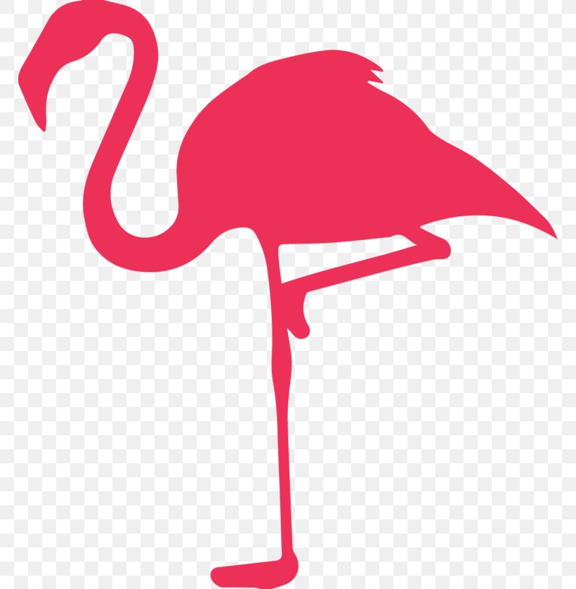 Flamingo, PNG, 768x839px, Flamingo, Autocad Dxf, Beak, Bird, Greater Download Free
