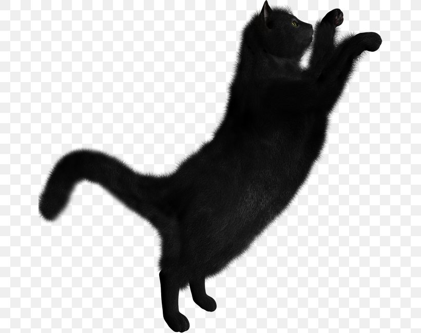 Persian Cat Clip Art Black Cat Image, PNG, 670x649px, Persian Cat, Black And White, Black Cat, Bombay, Carnivoran Download Free